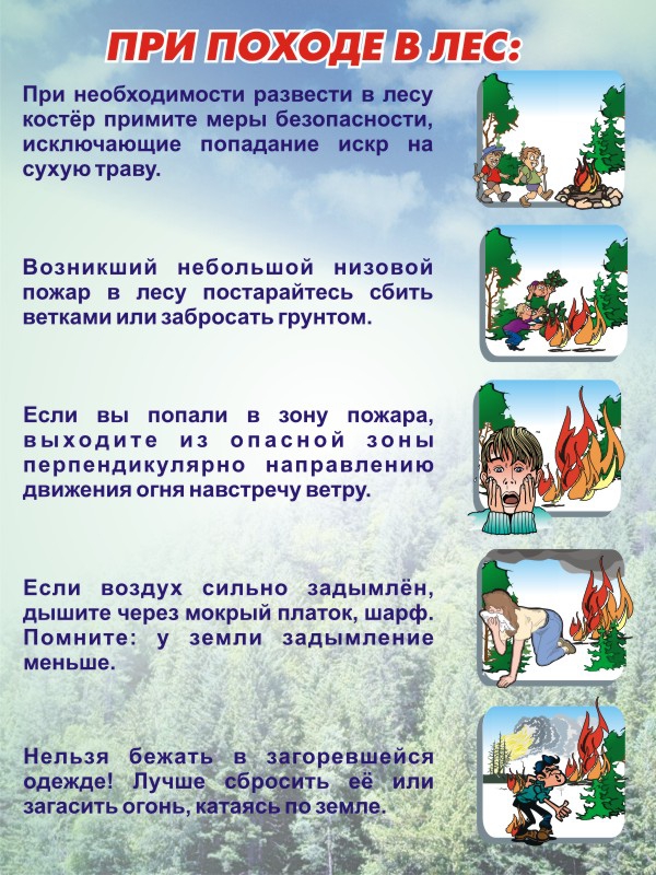 Пожар в лесу 1