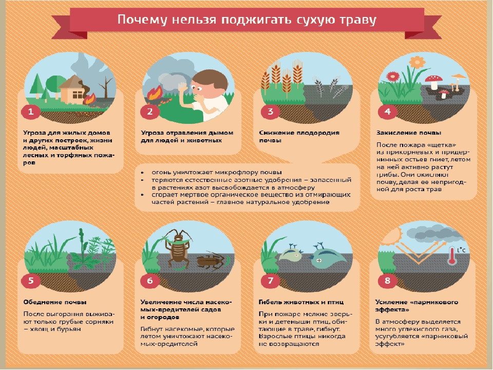 Сухая трава