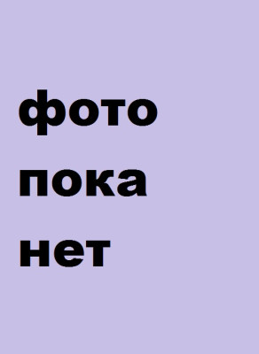 Лисичкина Алина Игоревна Лисичкина Алина Игоревна